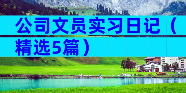 公司文员实习日记（精选5篇）