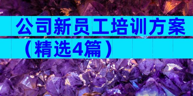 公司新员工培训方案（精选4篇）