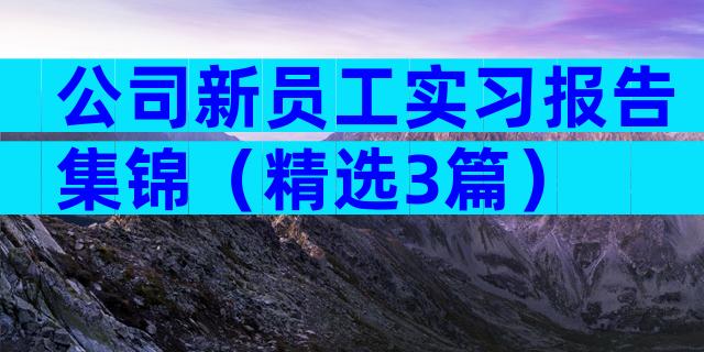 公司新员工实习报告集锦（精选3篇）