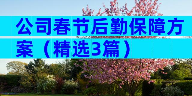 公司春节后勤保障方案（精选3篇）