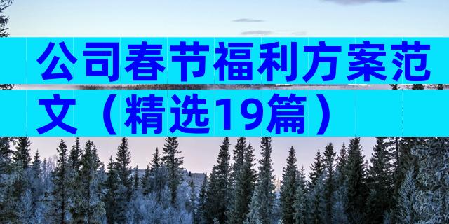 公司春节福利方案范文（精选19篇）