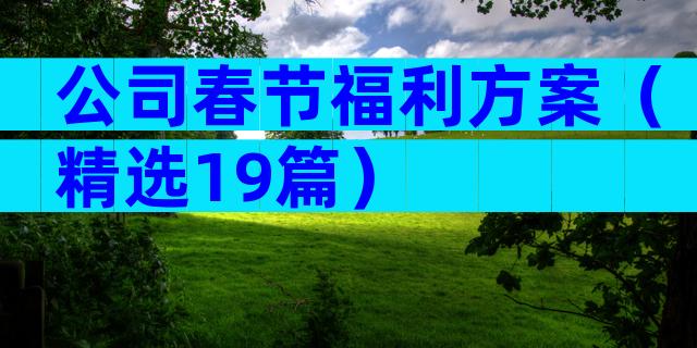 公司春节福利方案（精选19篇）