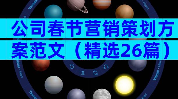 公司春节营销策划方案范文（精选26篇）