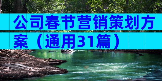 公司春节营销策划方案（通用31篇）