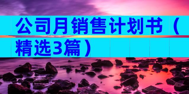 公司月销售计划书（精选3篇）