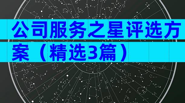 公司服务之星评选方案（精选3篇）