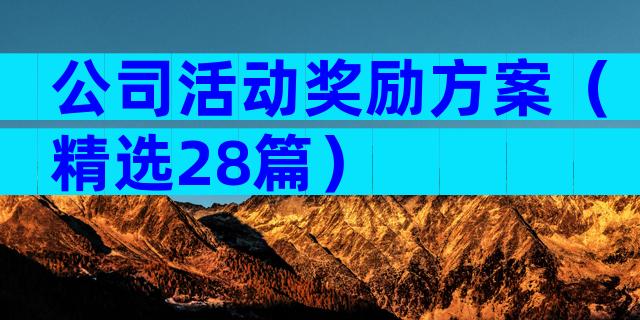 公司活动奖励方案（精选28篇）