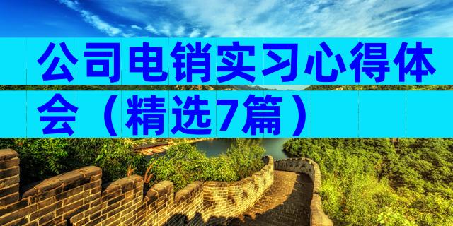 公司电销实习心得体会（精选7篇）