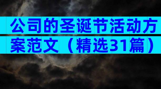 公司的圣诞节活动方案范文（精选31篇）