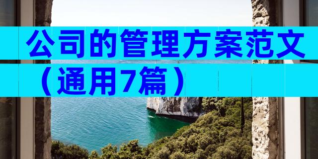 公司的管理方案范文（通用7篇）
