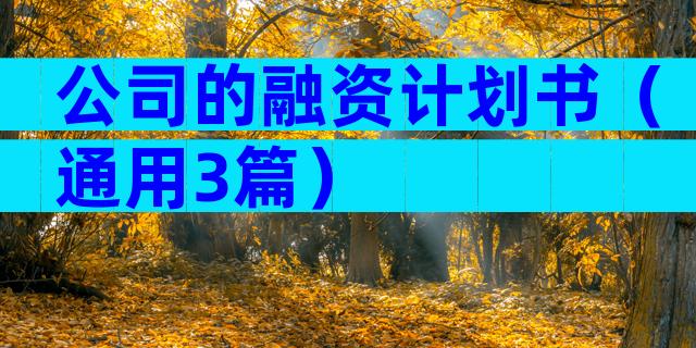 公司的融资计划书（通用3篇）