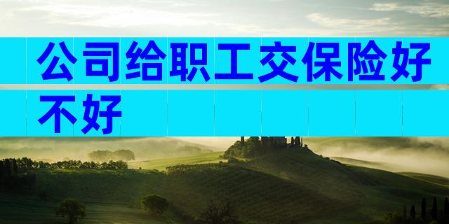 公司给职工交保险好不好