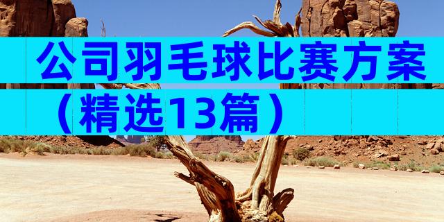 公司羽毛球比赛方案（精选13篇）