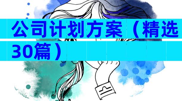 公司计划方案（精选30篇）
