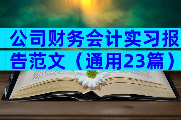 公司财务会计实习报告范文（通用23篇）
