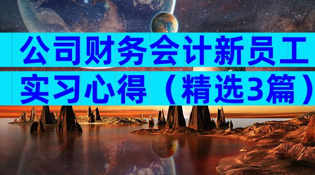 公司财务会计新员工实习心得（精选3篇）