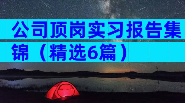 公司顶岗实习报告集锦（精选6篇）