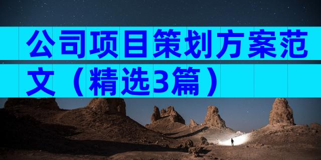 公司项目策划方案范文（精选3篇）