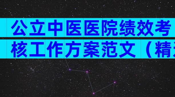 公立中医医院绩效考核工作方案范文（精选32篇）