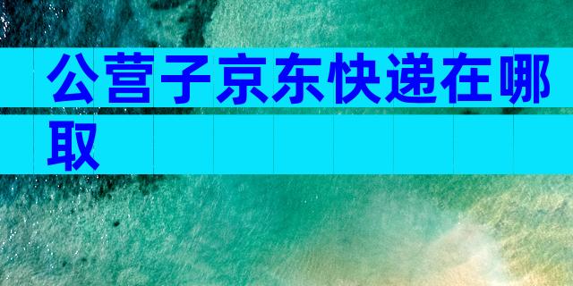 公营子京东快递在哪取