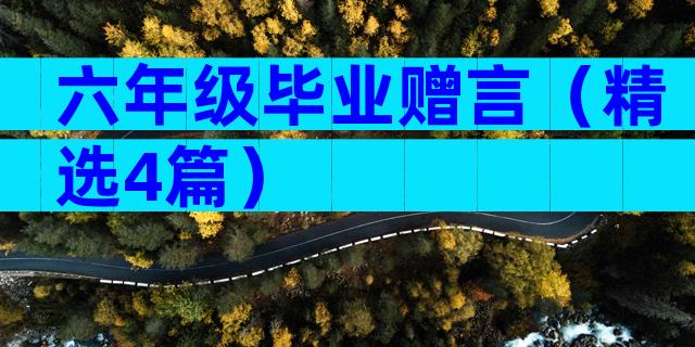 六年级毕业赠言（精选4篇）