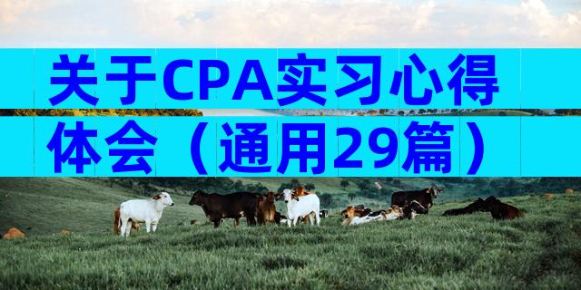 关于CPA实习心得体会（通用29篇）