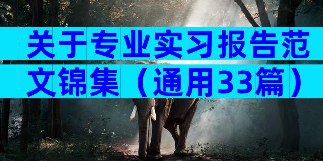 关于专业实习报告范文锦集（通用33篇）