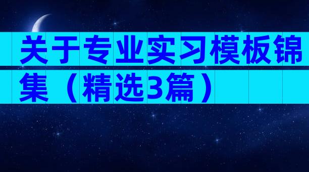 关于专业实习模板锦集（精选3篇）