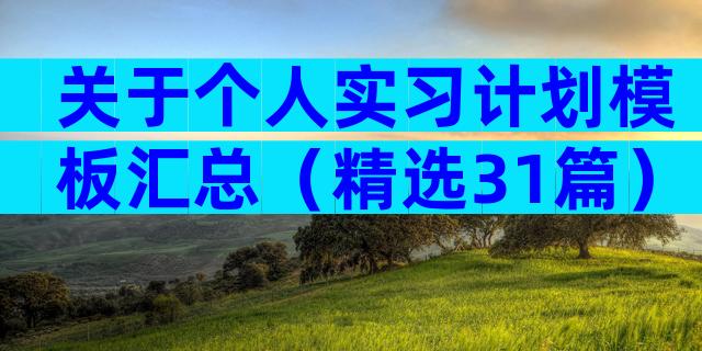 关于个人实习计划模板汇总（精选31篇）