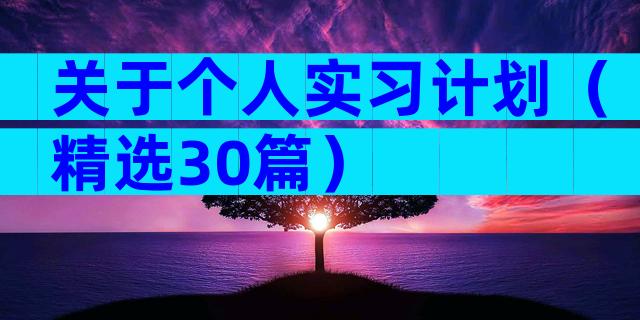 关于个人实习计划（精选30篇）