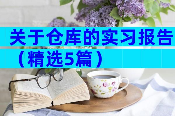 关于仓库的实习报告（精选5篇）