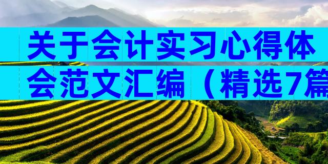 关于会计实习心得体会范文汇编（精选7篇）