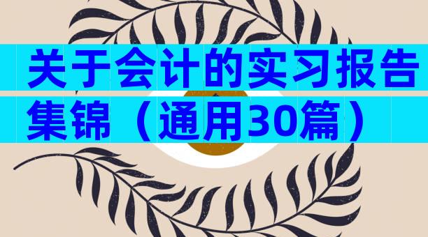关于会计的实习报告集锦（通用30篇）