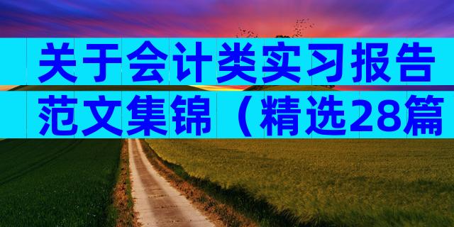关于会计类实习报告范文集锦（精选28篇）