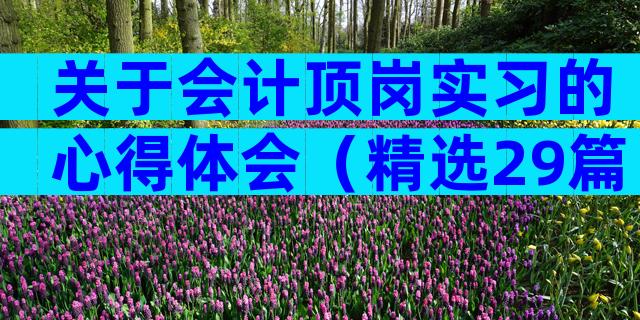 关于会计顶岗实习的心得体会（精选29篇）