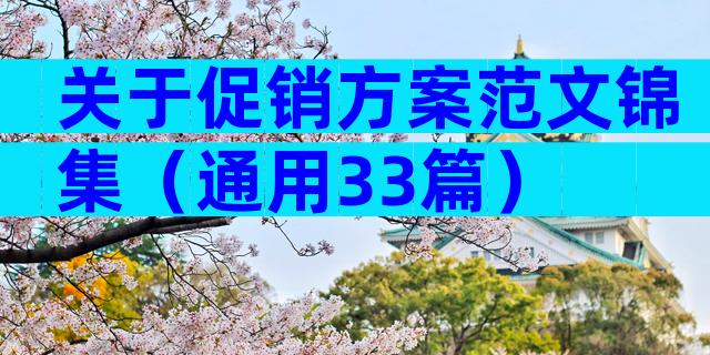 关于促销方案范文锦集（通用33篇）