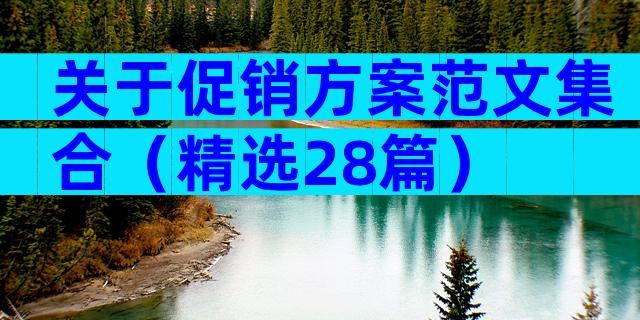 关于促销方案范文集合（精选28篇）