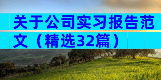 关于公司实习报告范文（精选32篇）