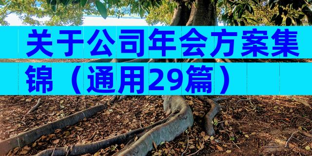 关于公司年会方案集锦（通用29篇）