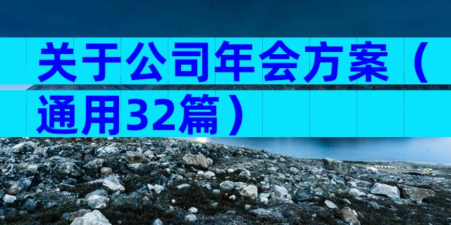 关于公司年会方案（通用32篇）