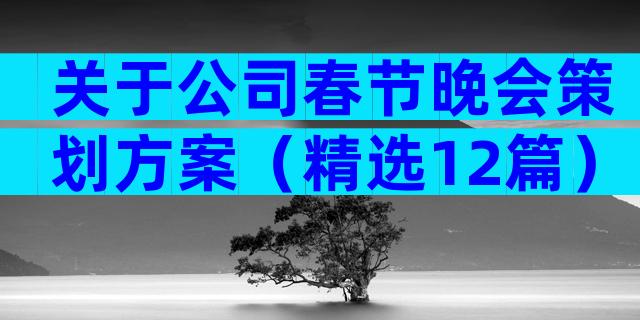 关于公司春节晚会策划方案（精选12篇）