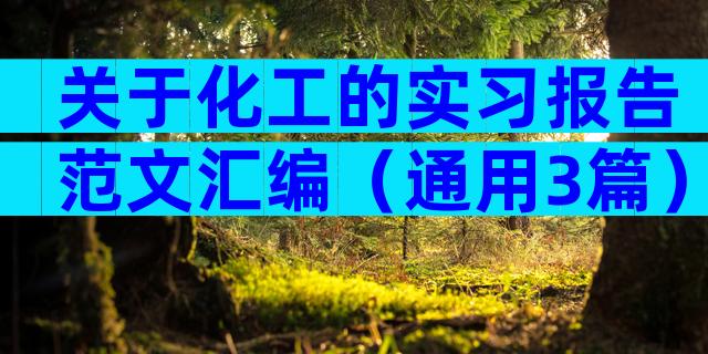 关于化工的实习报告范文汇编（通用3篇）