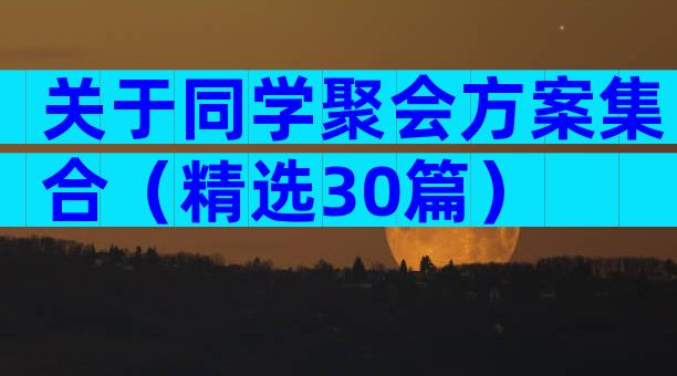 关于同学聚会方案集合（精选30篇）