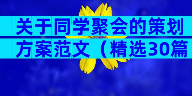 关于同学聚会的策划方案范文（精选30篇）