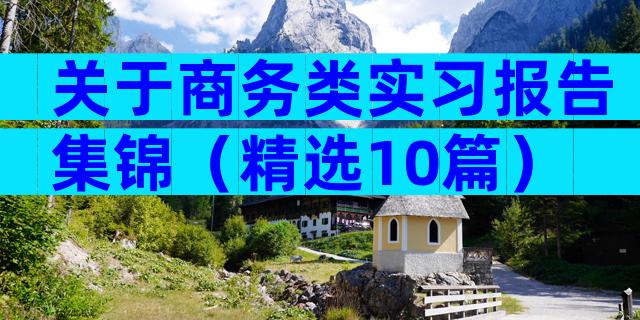 关于商务类实习报告集锦（精选10篇）