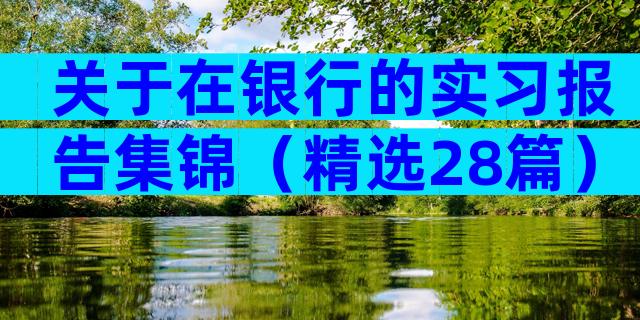 关于在银行的实习报告集锦（精选28篇）