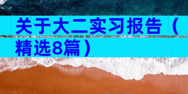 关于大二实习报告（精选8篇）