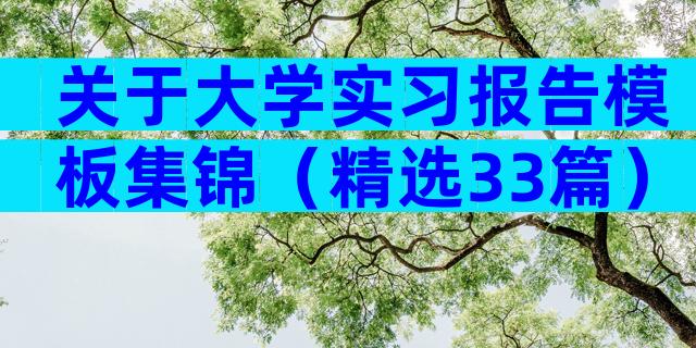 关于大学实习报告模板集锦（精选33篇）