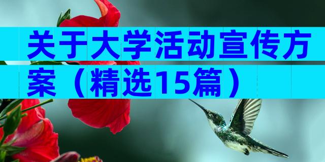 关于大学活动宣传方案（精选15篇）