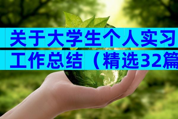 关于大学生个人实习工作总结（精选32篇）